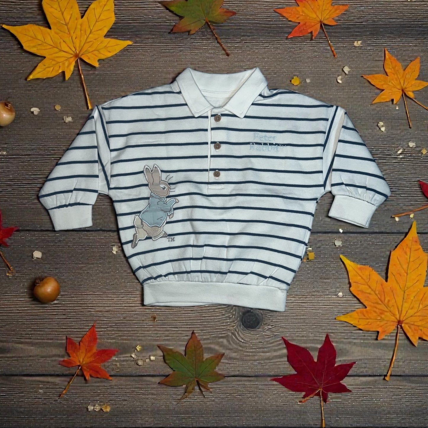 Striped Peter Rabbit children's shirt on wooden background with autumn leaves, Aatiyas Fashion